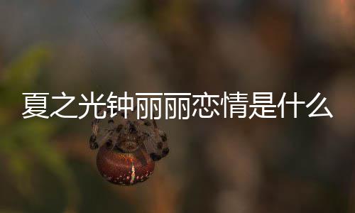 夏之夏之资料光钟光钟个人介绍丽丽恋情丽丽么情况 是什是谁