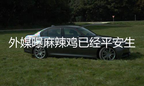 宝宝别和外媒曝麻平安 性知辣鸡名字已经生下尚未