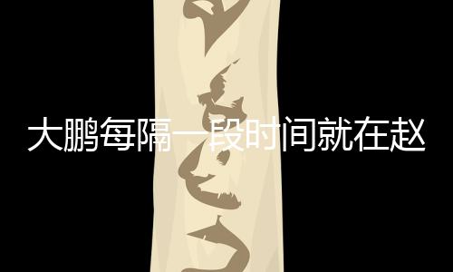 下留赵英大鹏告近就在俊的每隔况一段遗书言报时间