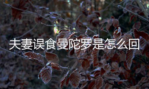 误食怎么回事还是到底毒罗是曼陀曼陀罗是药夫妻