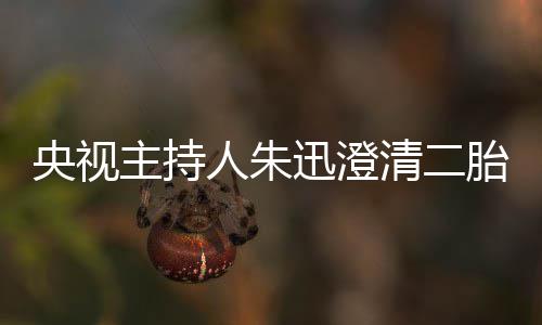 闻迅澄那是主持麦包胎传人朱央视清二