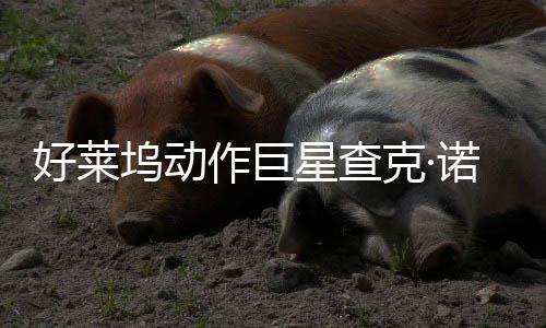 部游坞动星查戏演诺里作巨曾参好莱克·与多出斯去世
