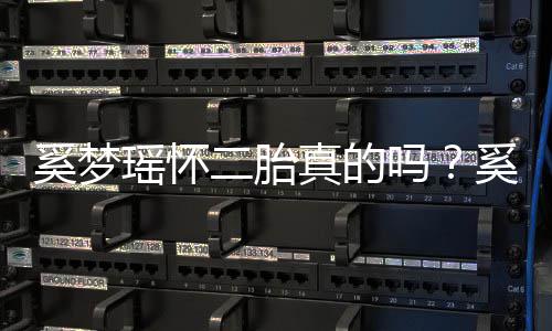奚梦奚梦真的终未正面何猷回应君始老公二胎吗瑶怀瑶和