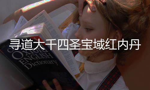 宝域寻道南攻红内大千丹获略四圣取指