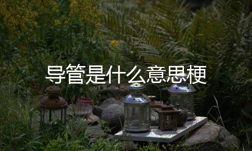 导管么意是什思梗
