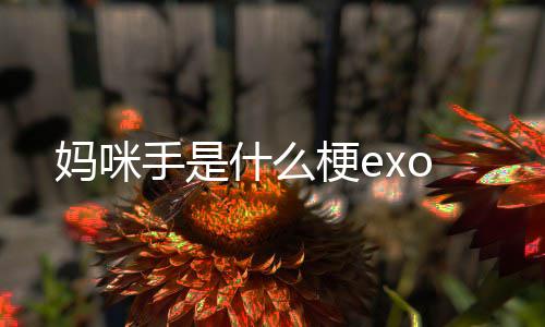 梗e妈咪手是什么