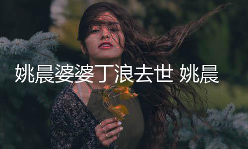 不只婆婆媳 挚友丁浪更是姚晨 姚晨是婆去世