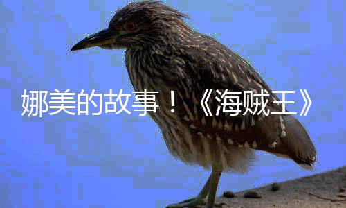 娜美女主贼王海画P的故V公角外开传动事全