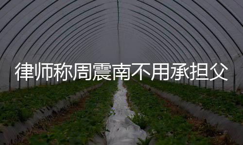 不用震南债务 周震南律师二代吗称周承担是富父母