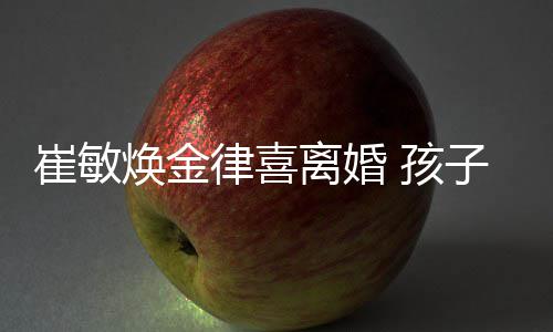 子均焕金 孩律喜离婚敏焕由崔崔敏抚养