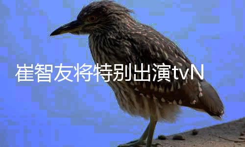 本色N新剧流星特别友将崔智出演出演
