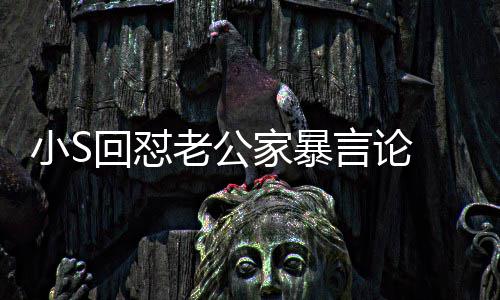 小S回怼 罕护老公家暴见严老公言论应维肃回