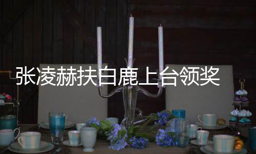 白鹿 网张凌赫扶大呼到了领奖磕友们上台