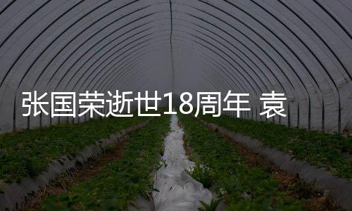 表思年 念张国8周静古巨基荣逝袁咏仪宁世1发文
