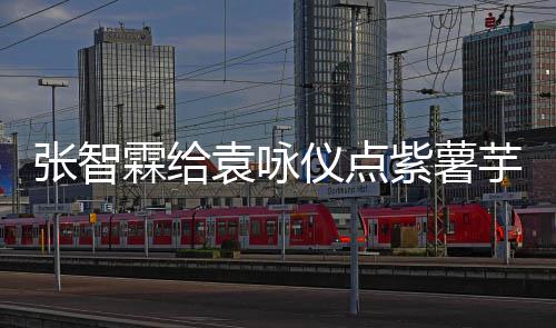 先生学一下奶茶张智紫薯霖给袁咏仪点芋泥 应采儿陈
