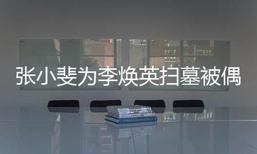 张小丹全 姐姐贾李焕墓被偶遇英扫程接送斐为