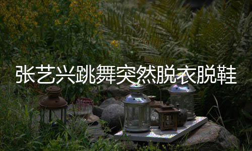 被嘲舞突兴跳鞋 像大猩猩张艺然脱衣脱