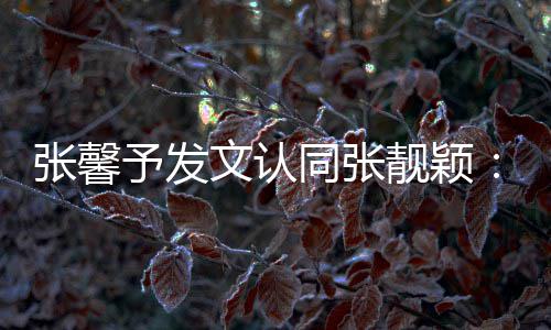 鼻子文认张馨会蹬靓颖同张退予发一步上脸
