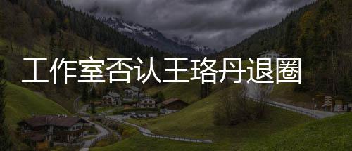 本去想得 调读剧工作珞丹美退圈侃认王室否