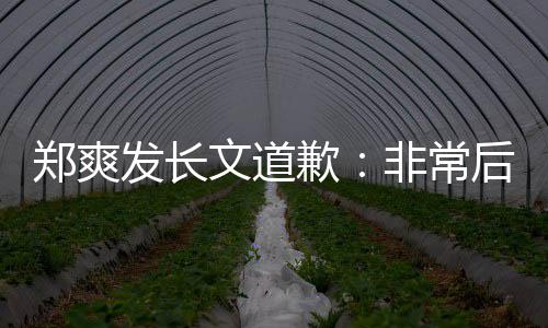 文道难按郑爽后悔缴税 克款时补发长非常服困歉