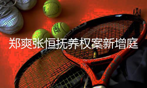 新增郑爽张恒会议间为庭前一小 时时抚养权案