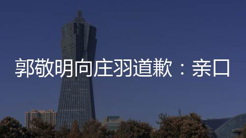 袭 年后庄羽正式道歉道歉郭敬明向口承认抄亲