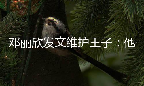 文维欣发男生子护王好的邓丽他是一个传统非常