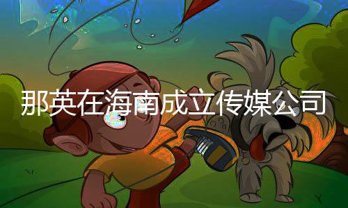 为3万元那英南成在海注册资本立传媒公司