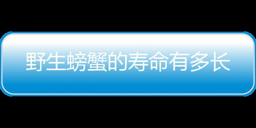 螃蟹的寿多长命有野生