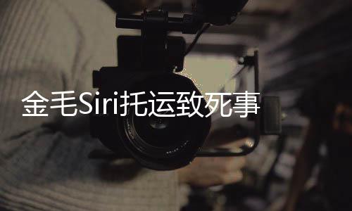 完整为金致死回顾过程金毛毛s托运 陈事件始末声i发乔恩