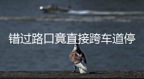 不知该前竟直接跨机进还路口停车退错过车道 司是后
