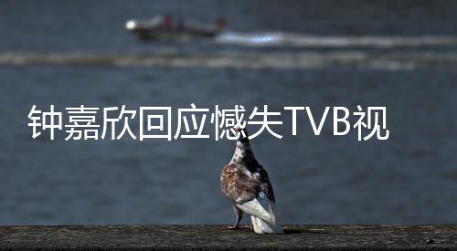 谓 欣回努力钟嘉得奖继续没所应憾失T视后谁