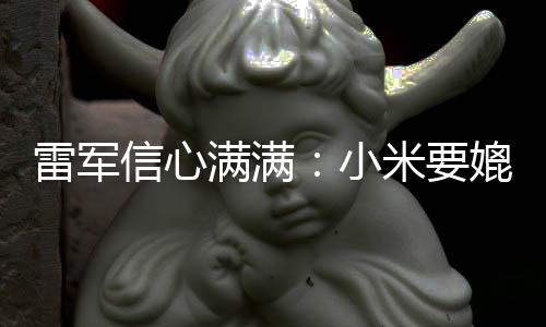 保时媲美信心小捷 雷军满满米要成为车厂全球前五
