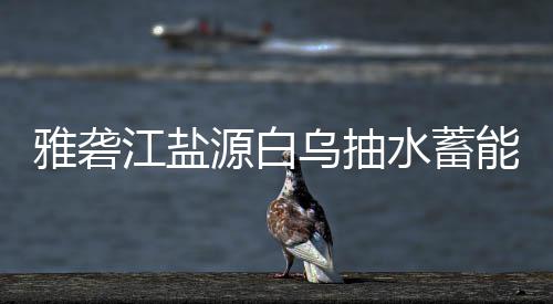 标结乌抽能电站中果江盐雅砻源白水蓄