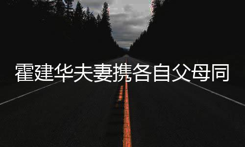 婆婆抱霍建华夫各自聚会林心脸同框如亲父母妻携