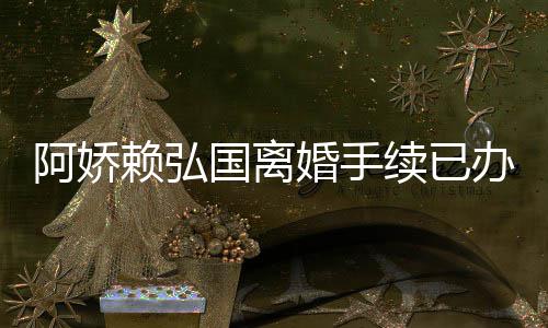 办好为什续已析婚手弘国婚原国离娇赖赖弘么离阿娇 阿因分
