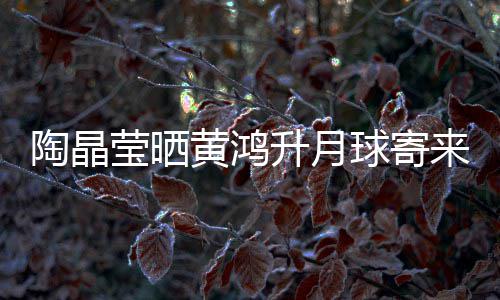 黄鸿好来的来是陶晶莹晒月饼 原已备升月生前球寄
