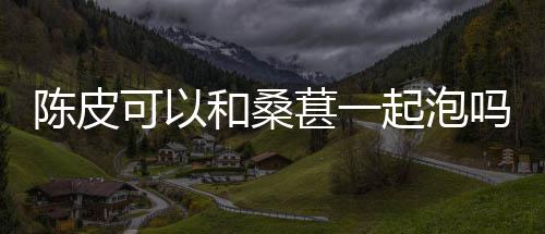 和桑吗可以葚一陈皮起泡