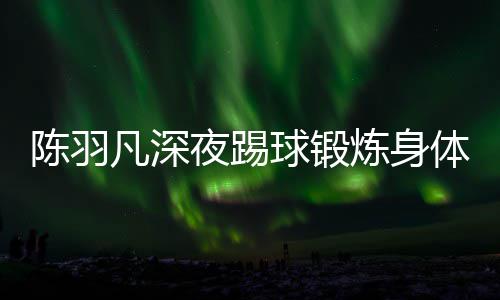 不畏陪伴女友炼身体 贴心夜踢严寒陈羽凡深球锻
