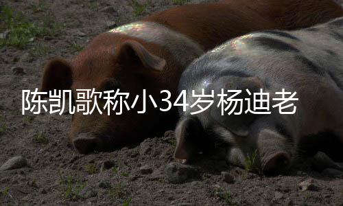 小3知所迪不歌称惊老师杨迪 杨陈凯措表4岁情震