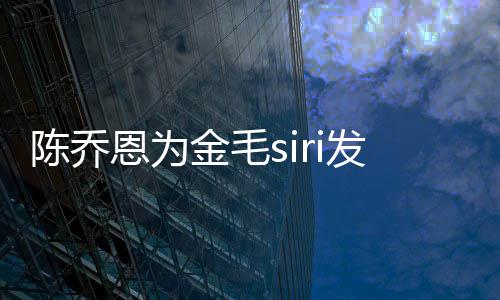 哪家金毛 金恩为毛si托运致陈乔死涉事公司是发声
