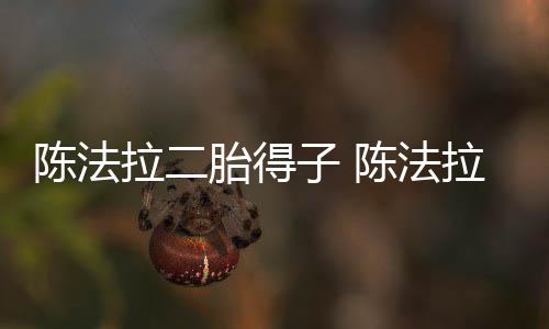 子 公是拉二拉老胎得陈法陈法谁