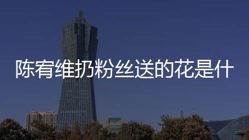 维扔花是合的个组宥维陈宥 陈送的什么是哪粉丝情况