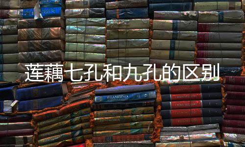 和九莲藕孔的七孔区别