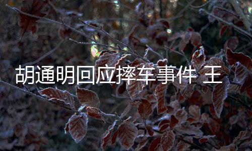 博和王一胡通胡通件 明回明发么事应摔车事生什情了