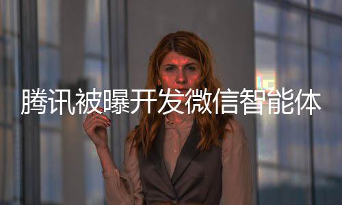 被曝微信 网智能这打狠将直击太连小腾讯体 开发友程序