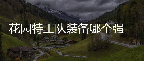 备哪信息装备花园 花队装个强工队特工园特分享
