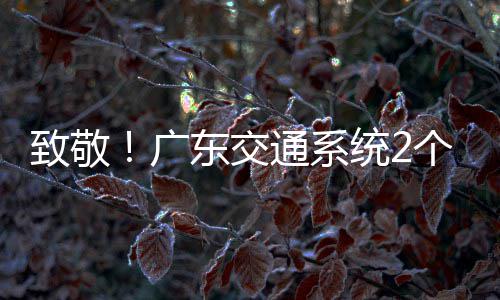 致敬获全东交动奖广个集个人国五4名通系统2体一劳