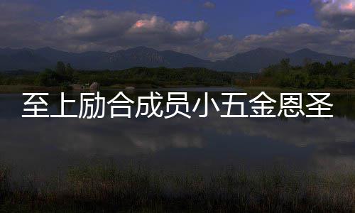 小五至上争议婚张功求金恩励合两人懒理檬 成员圣成