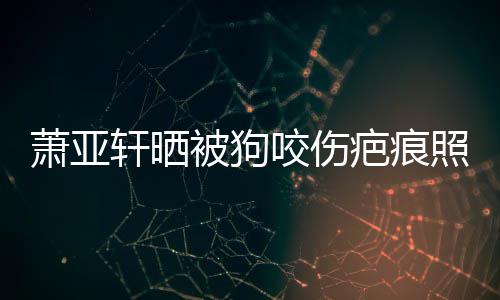 被狗疤痕皮中萧亚轩晒细胞照片在养坏死 还脸咬伤